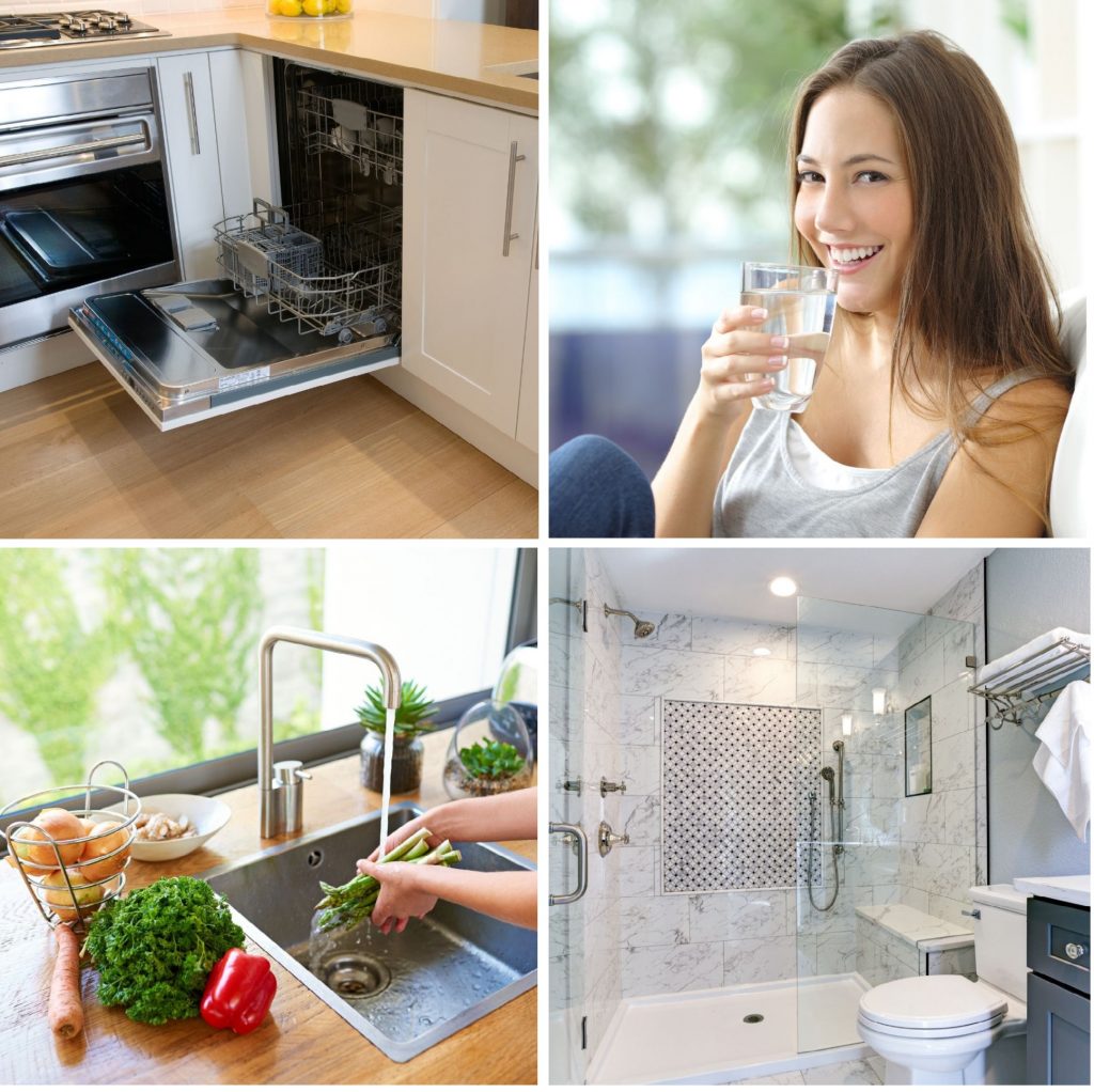 Water Softener vs Reverse Osmosis Puronics