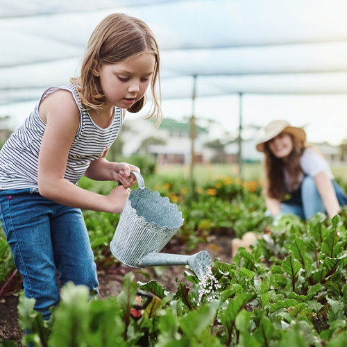 environmentally friendly